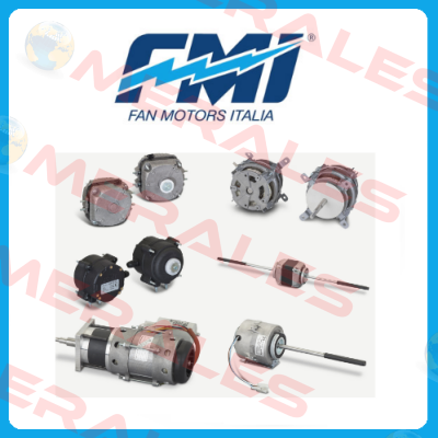 FMI (Fan Motors Italia)