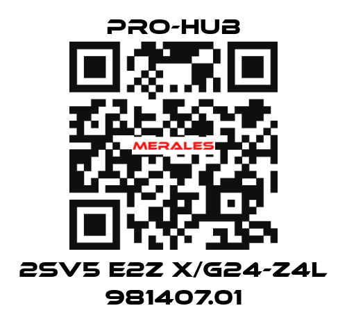 2SV5 E2Z X/G24-Z4L 981407.01 Pro-Hub