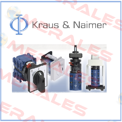 CA10 A230 -600 EF  Kraus & Naimer