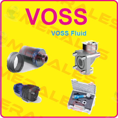 033799  Voss