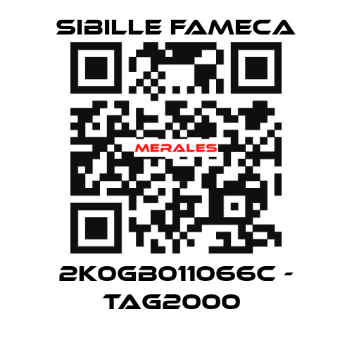 2K0GB011066C - TAG2000  Sibille Fameca