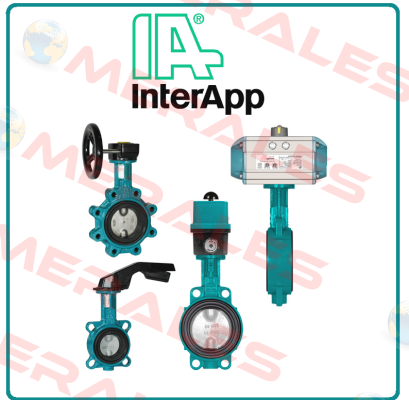 B30250.22-2BE.4GT.TS  InterApp