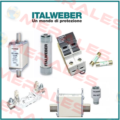 0101251  Italweber