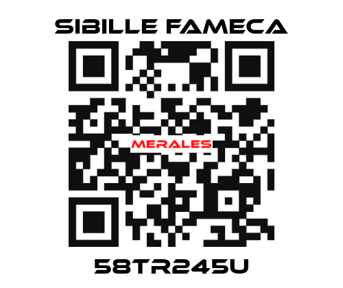 58TR245U Sibille Fameca