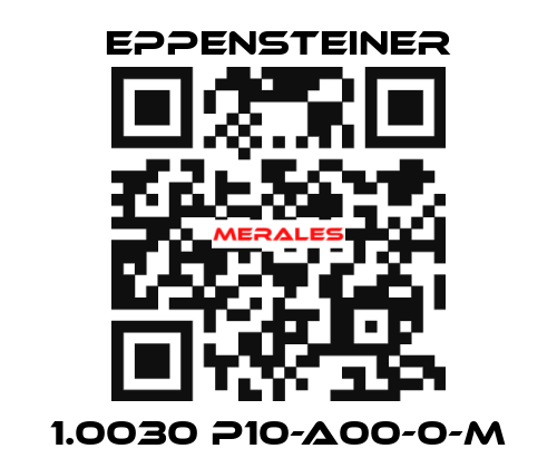 1.0030 P10-A00-0-M Eppensteiner