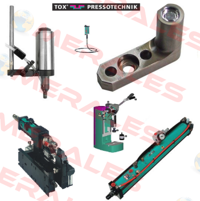 100110, BS 08.30.100.12 Tox Pressotechnik