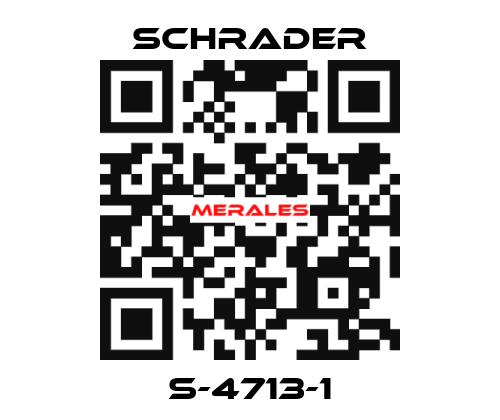 S-4713-1 Schrader