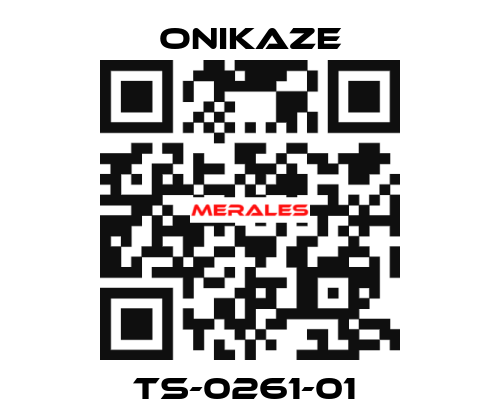 TS-0261-01  Onikaze