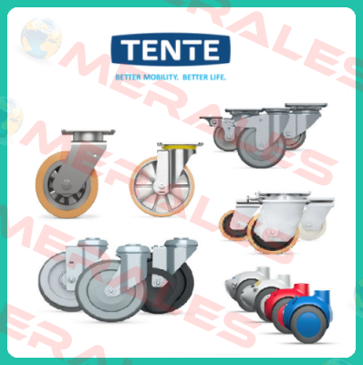 9950FTP150P65 (Teilenummer: 00803669-GS) Tente