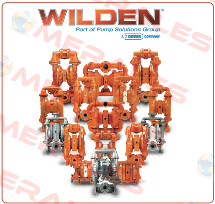  XPX8/SSAAA/EPU/EP/EP/0014 2"  Wilden