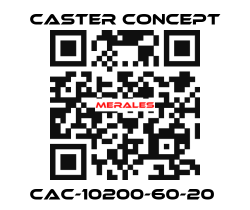 CAC-10200-60-20  CASTER CONCEPT