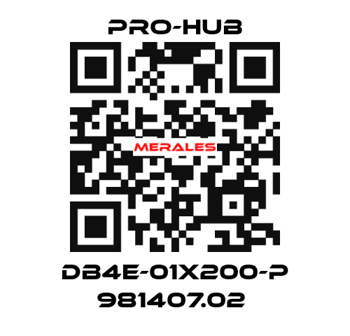 DB4E-01X200-P 981407.02  Pro-Hub