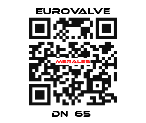 DN  65  Eurovalve