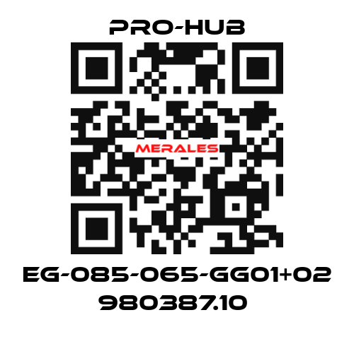 EG-085-065-GG01+02 980387.10  Pro-Hub