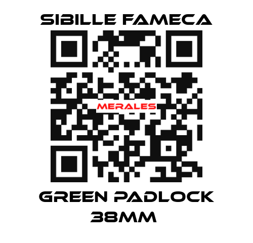 GREEN PADLOCK 38MM  Sibille Fameca