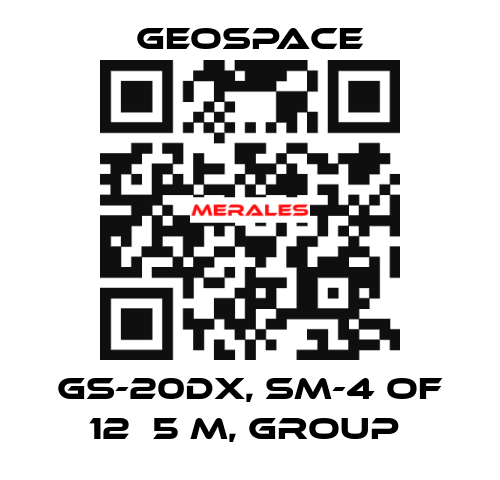 GS-20DX, SM-4 OF 12Х5 M, GROUP  GeoSpace