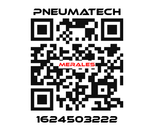 1624503222 Pneumatech