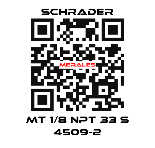 MT 1/8 NPT 33 S 4509-2 Schrader