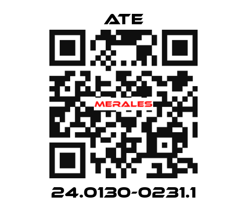 24.0130-0231.1 Ate