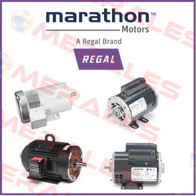 DMA280K4 (B14 flange mounted) Marathon (Regal)