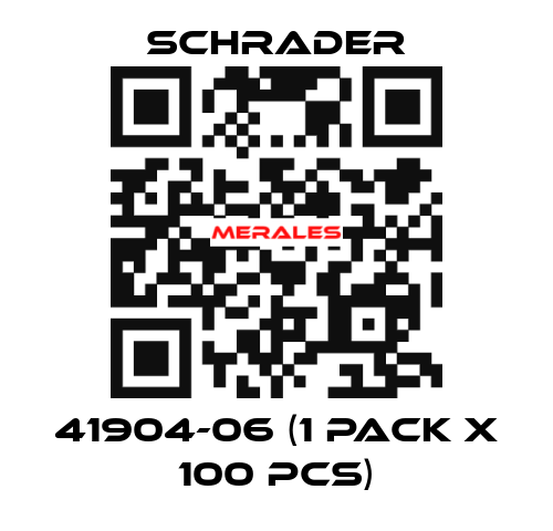 41904-06 (1 pack x 100 pcs) Schrader