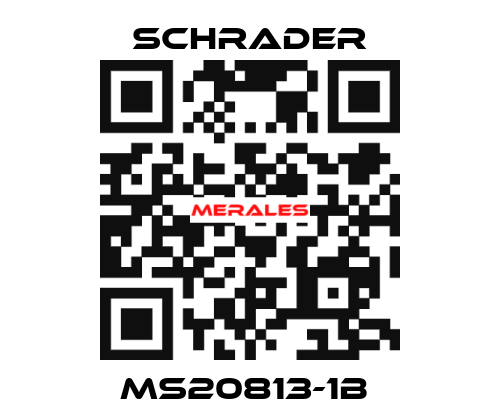 MS20813-1B  Schrader