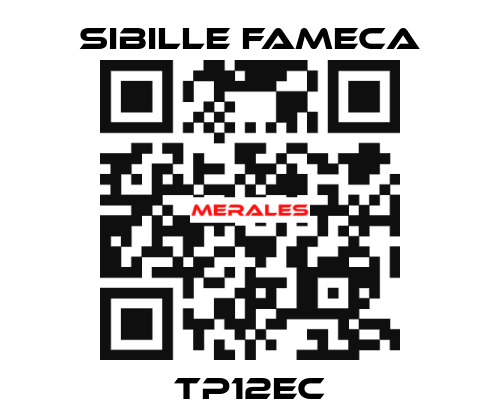 TP12EC Sibille Fameca