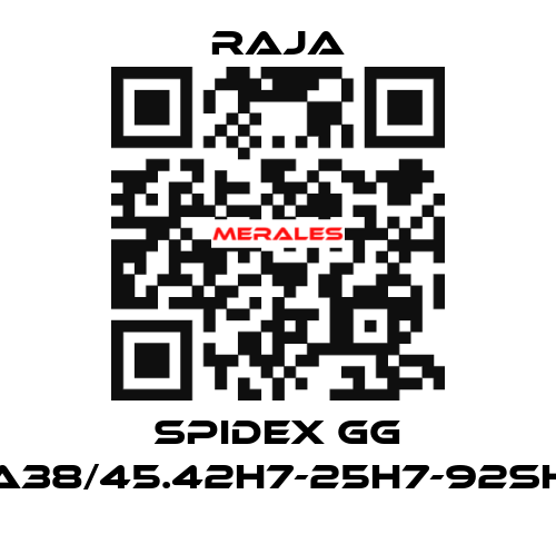 SPIDEX GG A38/45.42H7-25H7-92SH Raja