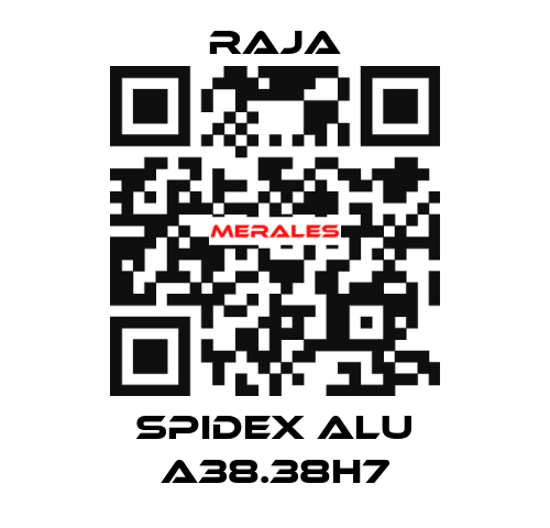 SPIDEX ALU A38.38H7 Raja