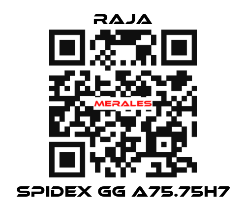 SPIDEX GG A75.75H7 Raja