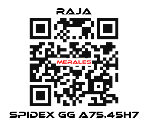 SPIDEX GG A75.45H7 Raja