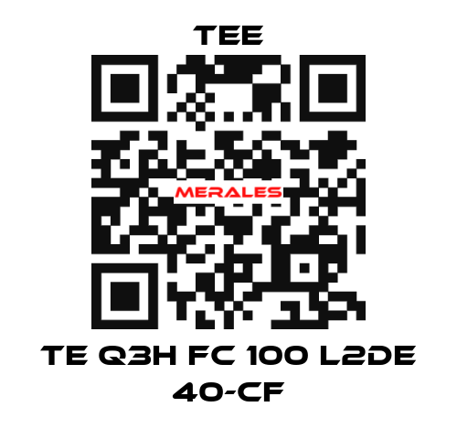 TE Q3H FC 100 L2DE 40-CF TEE