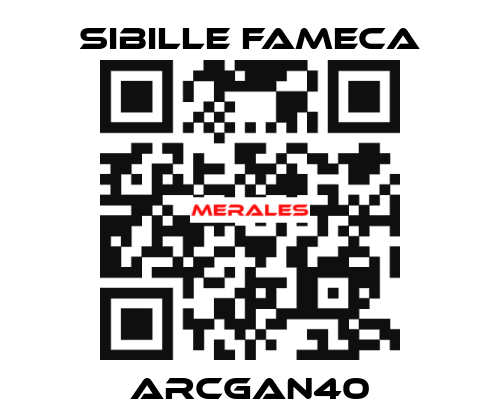 ARCGAN40 Sibille Fameca