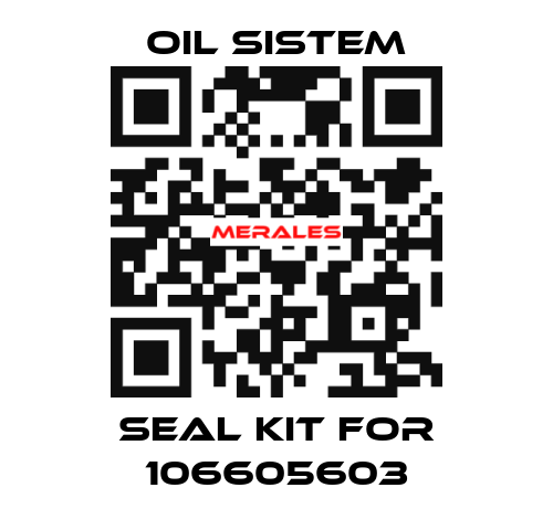 seal kit for 106605603 Oil Sistem