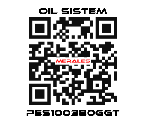 PES100380GGT Oil Sistem