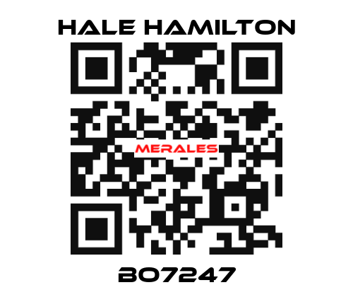 BO7247 HALE HAMILTON