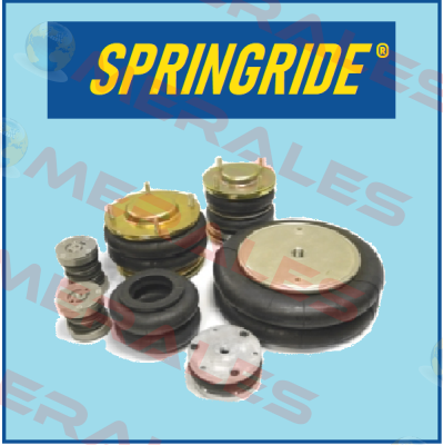 PNP 30414 01 42  Springride