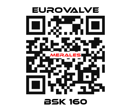 BSK 160 Eurovalve