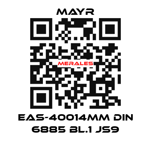 EAS-40014MM DIN 6885 BL.1 JS9 Mayr