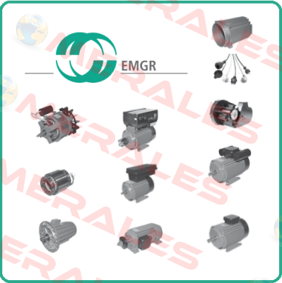 armature for electric motor ECS90L 4-LIEA EMGR