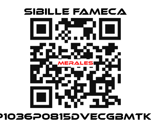 VDP1036P0815DVECGBMTKRI1T Sibille Fameca