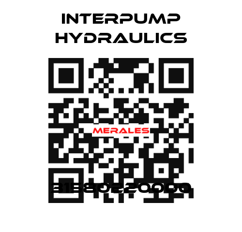 31580220000 Interpump hydraulics