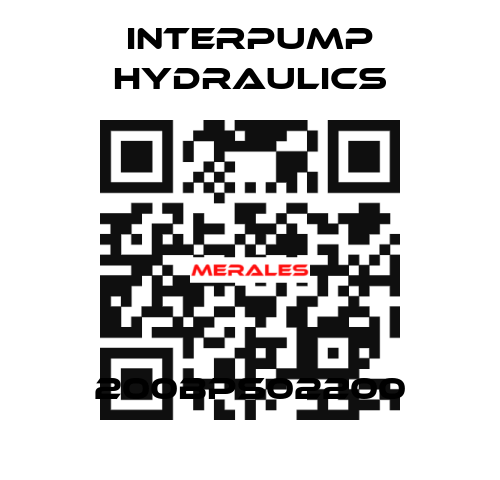 200BPS02200 Interpump hydraulics