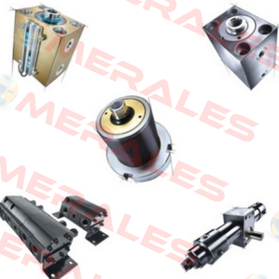 REPAIR KIT FOR DHZ 160.63/45/350.11.201S  Merkle