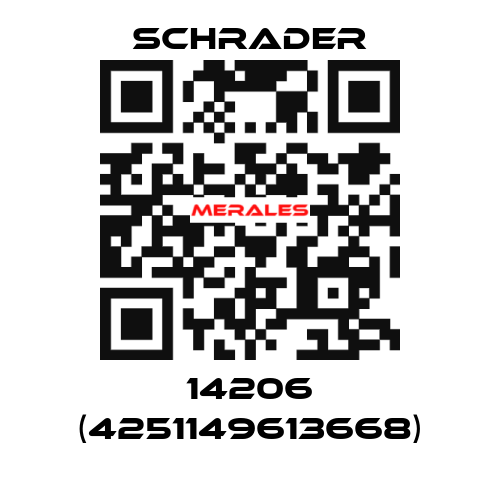 14206 (4251149613668) Schrader