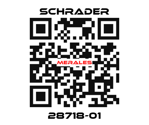 28718-01 Schrader