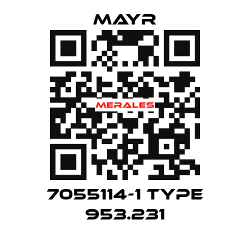 7055114-1 Type 953.231 Mayr