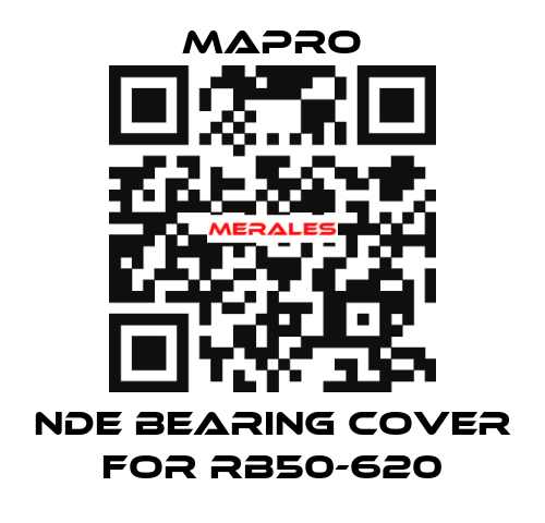 NDE bearing cover for RB50-620 Mapro