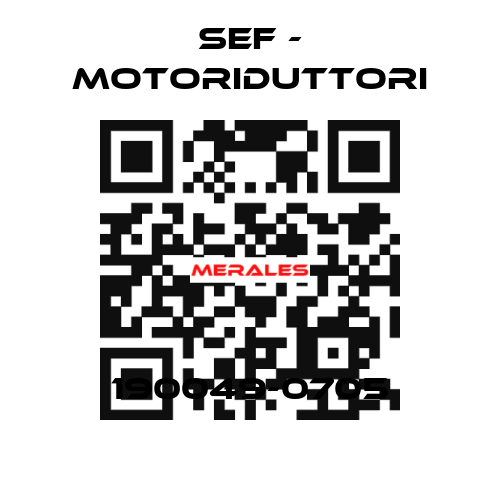 190049-0705 SEF - MOTORIDUTTORI