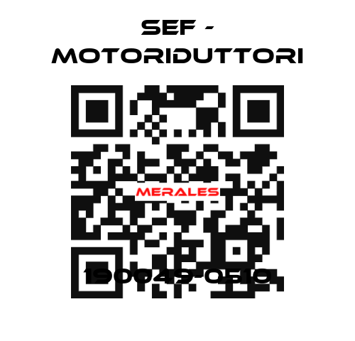 190049-0510 SEF - MOTORIDUTTORI